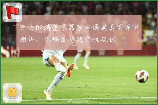 开云pc端登录器官方通道真实用户测评，流畅度与稳定性双优