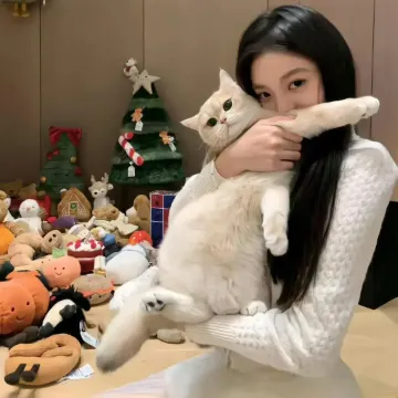 高先生